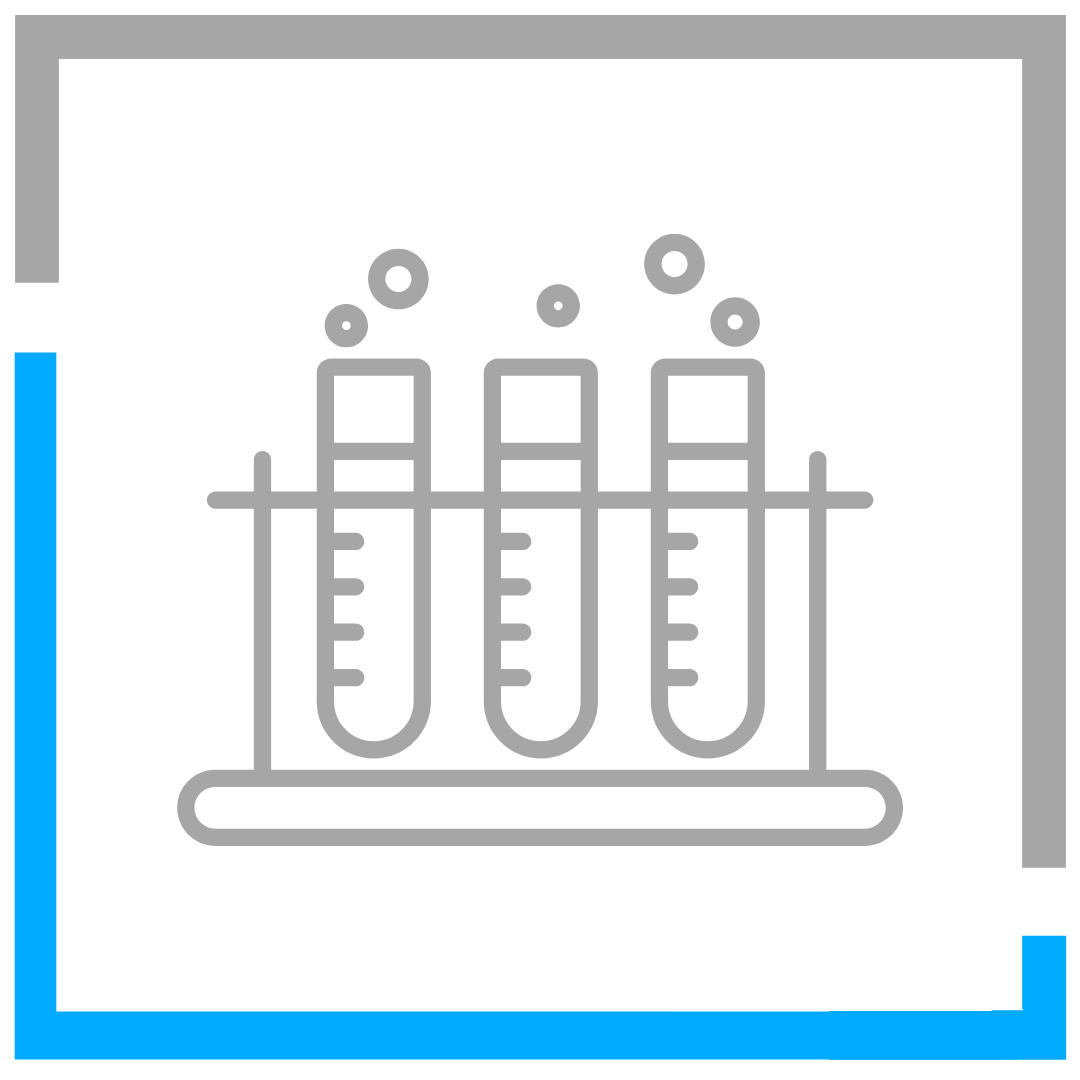 WELLNESS LAB TEST