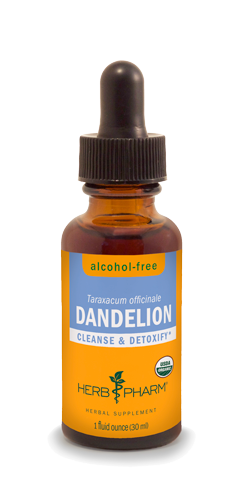 DANDELION ALCOHOL FREE 1 fl oz