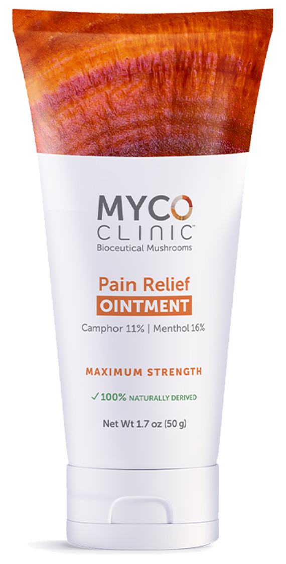 Pain Relief Ointment Maximum Strength 1.7 oz